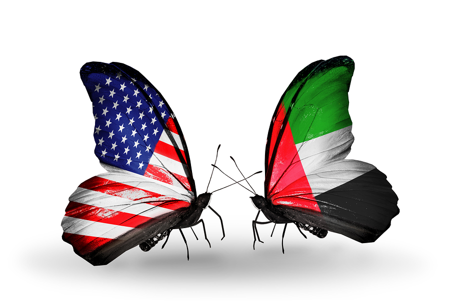 Two butterflies with flags on wings as symbol of relations USA and UAE
